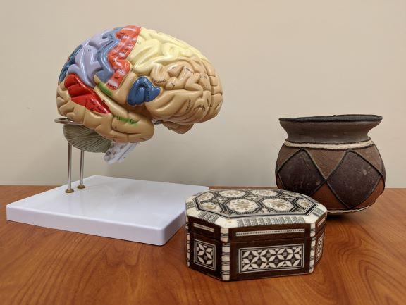 人工制品和大脑模型
